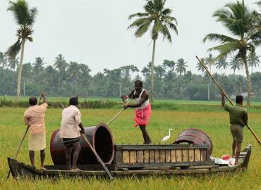 Protecting the agricultural sector by maintaining the habitat of Kuttanad: P. Prasad