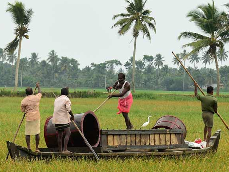 Protecting the agricultural sector by maintaining the habitat of Kuttanad: P. Prasad