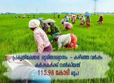 Natural Disaster Relief - Rs 115.98 crore was given to farmers last year