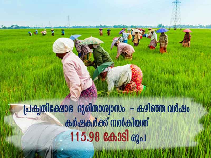 Natural Disaster Relief - Rs 115.98 crore was given to farmers last year
