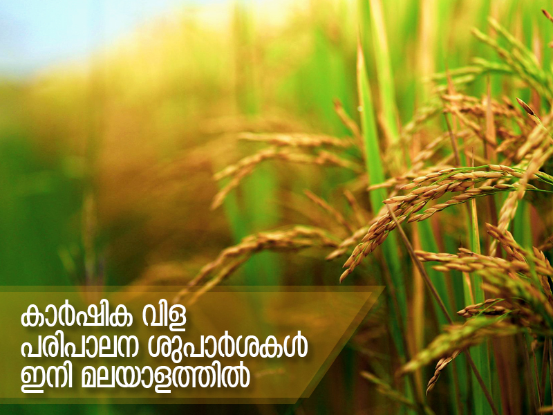 Soil test crop management recommendations will now be available in Malayalam as well