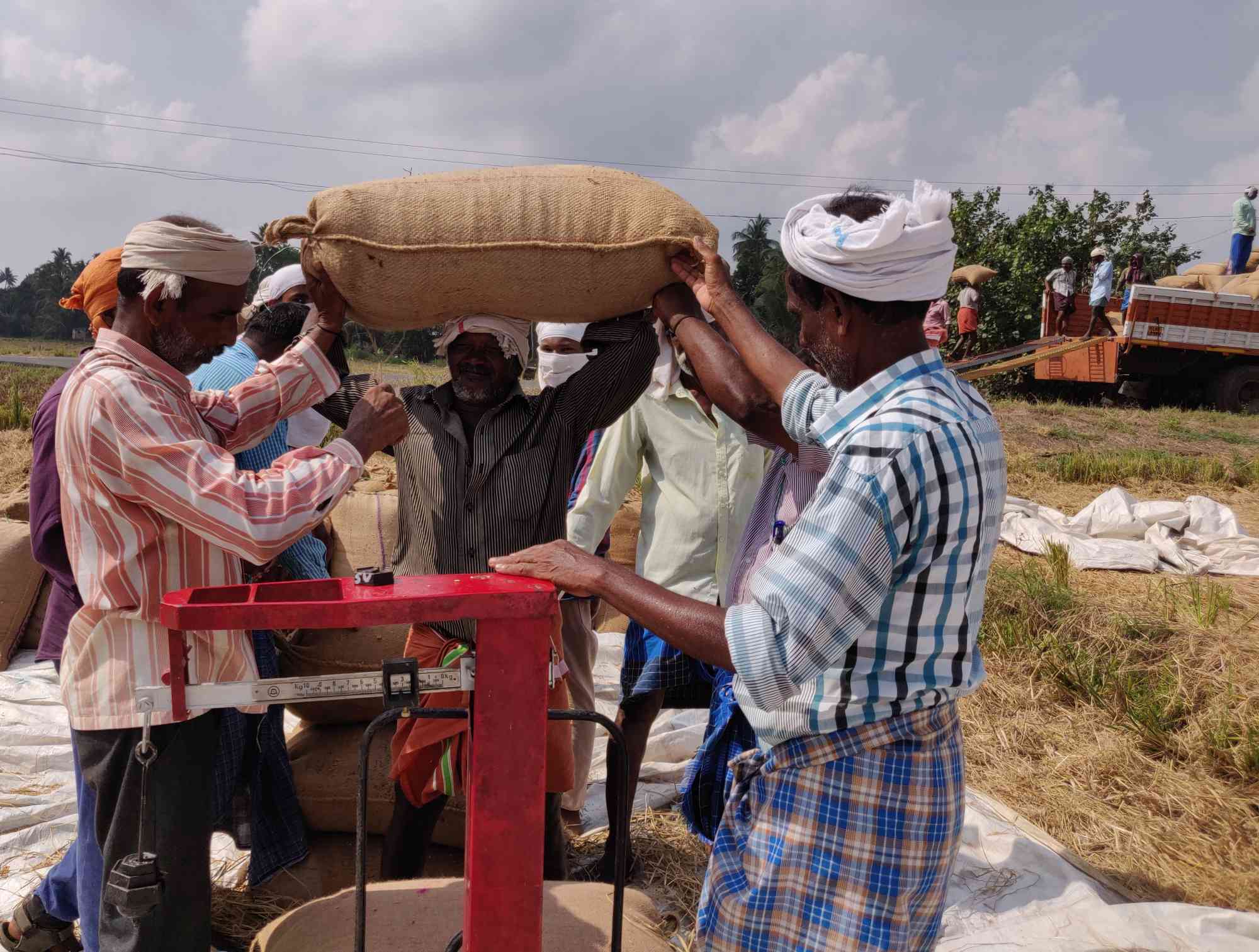 Last season, Supplyco procured 7.48 lakh tonnes of paddy