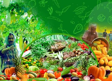 Department of Agriculture's 2010 Country Farmers Markets for Onam