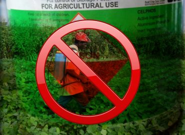 Toxicity in vegetables