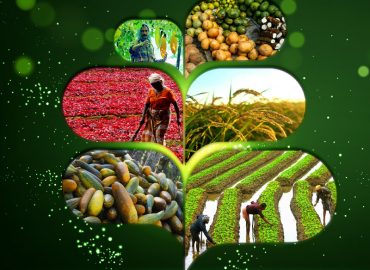 The main objective of the government is to increase farmers' income