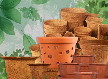Instead of grobags in agriculture department projects, promotion of nature-friendly methods