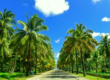 Kerarakshwaram - State level campaign in October