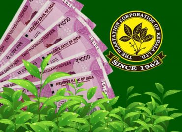 Government approves salary revision for Plantation Corporation employees