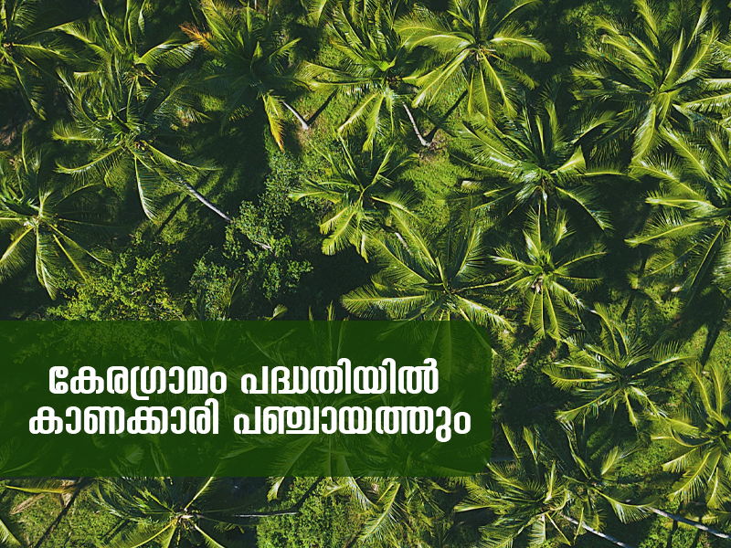Kanakari Panchayat in Keragramam project
