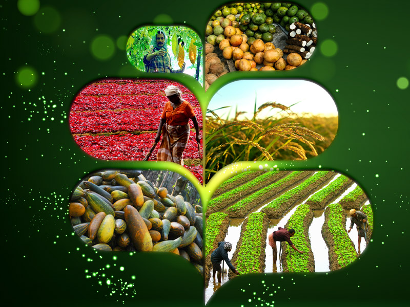 Premium can now be paid online to state crop insurance