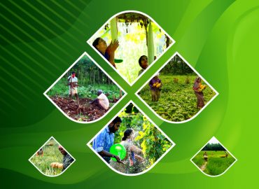 Farm based planning scheme to increase farmer income