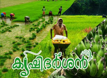Solution within 24 hours at Krishidarshan
