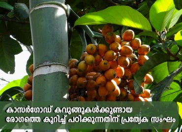Special team to study the disease of Kasaragod cucurbits