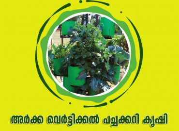 Arka vertical vegetable farming