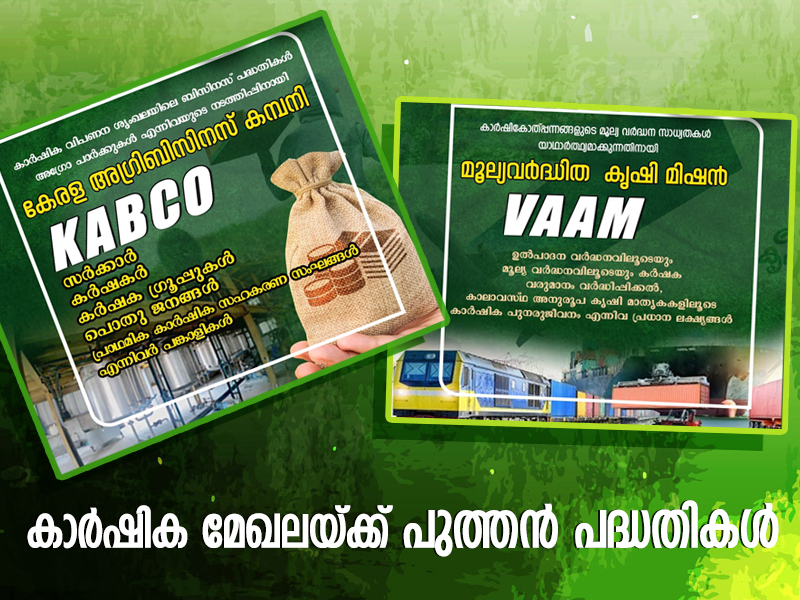 CABCO and WAM are the most promising projects for the agriculture sector