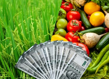 Steps to be taken to get PM Kisan Benefit