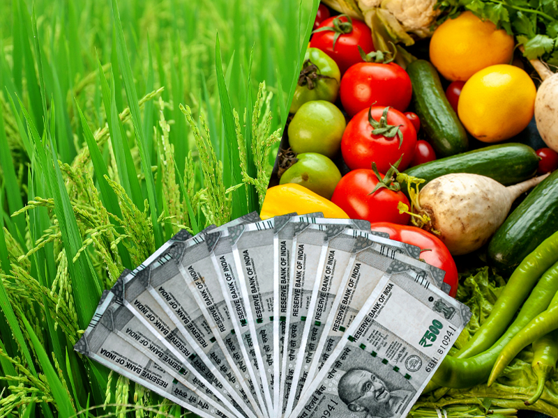 Steps to be taken to get PM Kisan Benefit