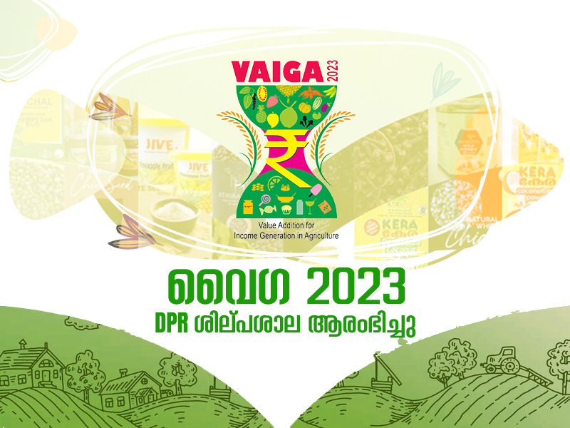 Registration for Vaiga 2023 DPR Workshop has started