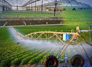 Israeli farming methods become a reality in Kerala