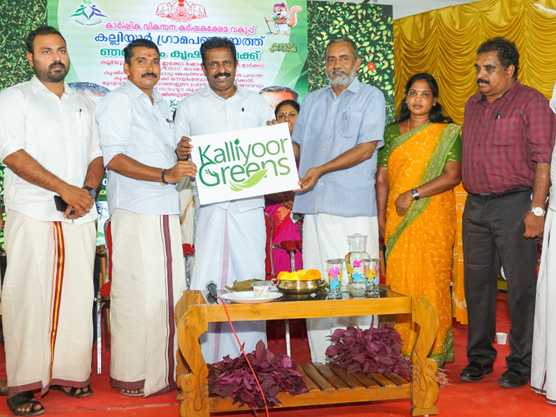 Online Ecoshop inaugurated