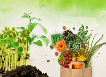 A muram vegetable project for Onam
