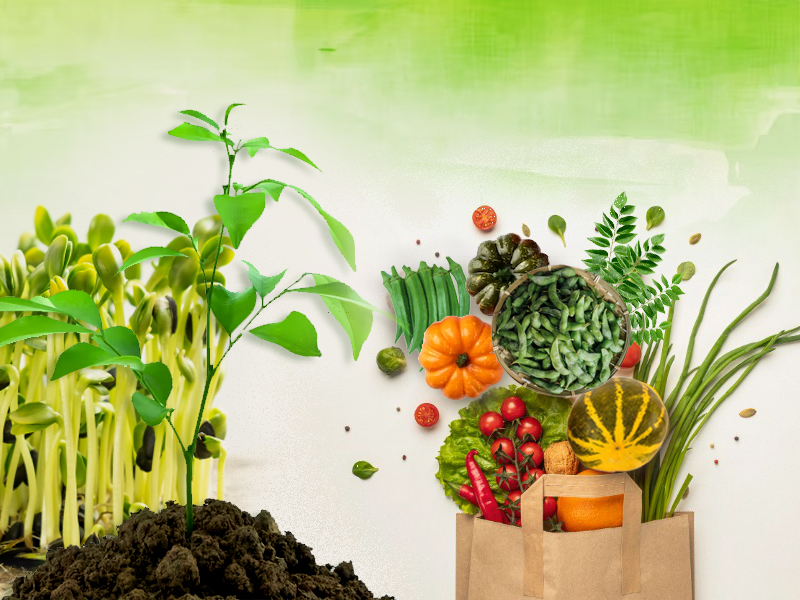 A muram vegetable project for Onam