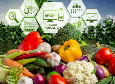 Kerala Agro Business Company (CABCO) will be formed