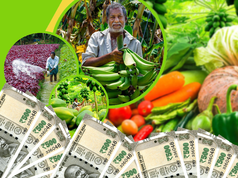 Horticorp has paid all the dues of the farmers till July 31