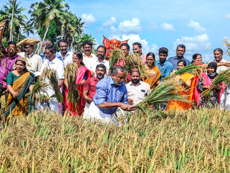 Harvest Festival at Pirappamankad padasekara