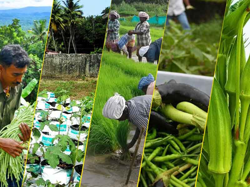 Organic Agriculture Mission for promotion of organic agriculture; The aim is to protect the environment and ensure farmers' income