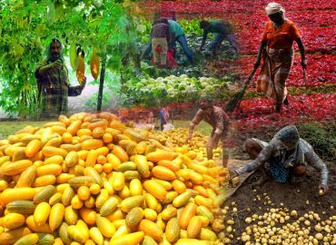 Steps have been taken to procure extra vegetables from the farmers and bring them to the market