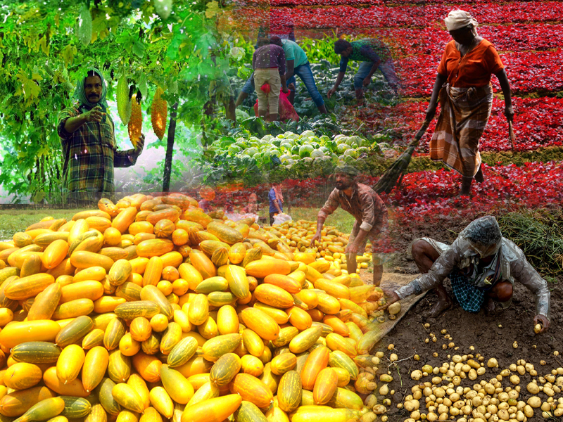 Steps have been taken to procure extra vegetables from the farmers and bring them to the market