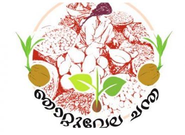 Nhatuela - Agricultural Fair and Seminars from 1st July