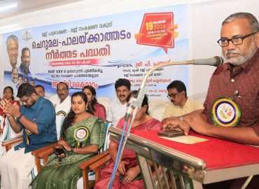 Fruit cultivation will reach 200 clusters this year