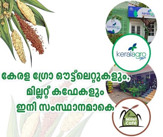 Keralagro Brand Stores and Millet Cafes are starting