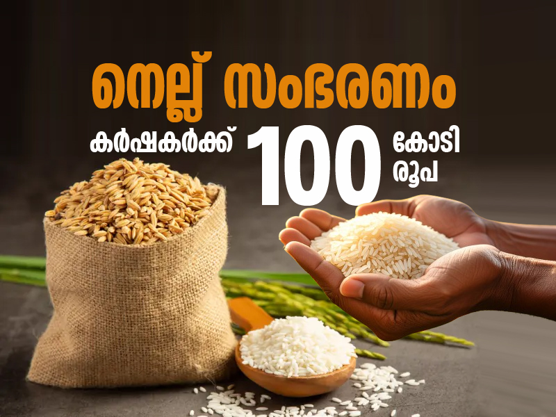The state government has allocated Rs 100 crore for paddy procurement.