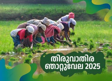 Njattuvela markets and farmer's councils will be organized across the state for Thiruvathira Njattuvela