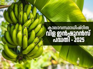 Climate-Based Crop Insurance Scheme -2025 First Crop: Farmers can apply